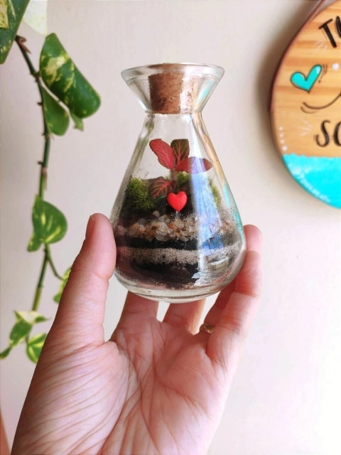 Mini terrário real com coraçãozinho, feito a partir do catálogo