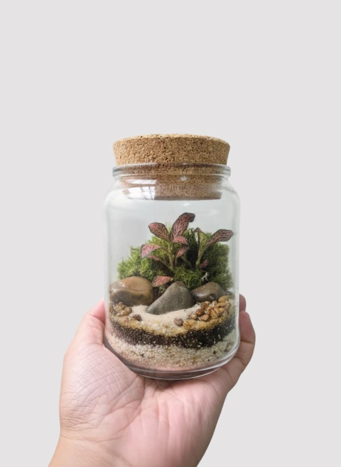 Mini terrário em pote com tampa de cortiça e folhagem rosa, na palma da mão