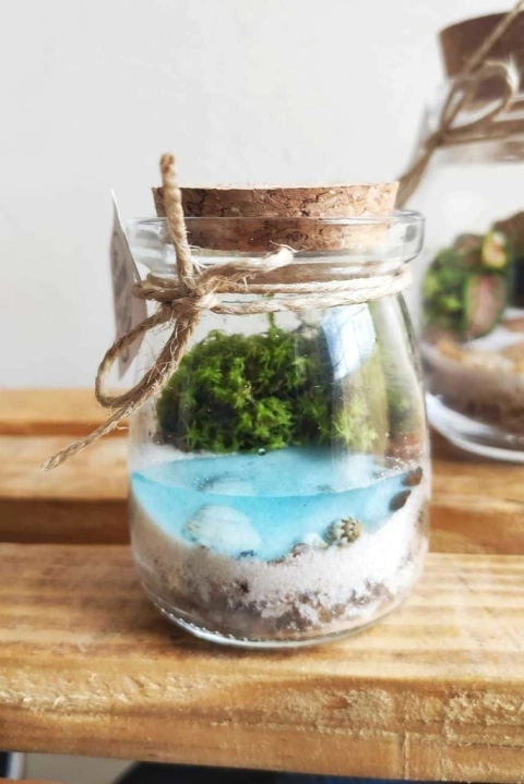 Mini terrário real com folhagem roxa, montado a partir do catálogo