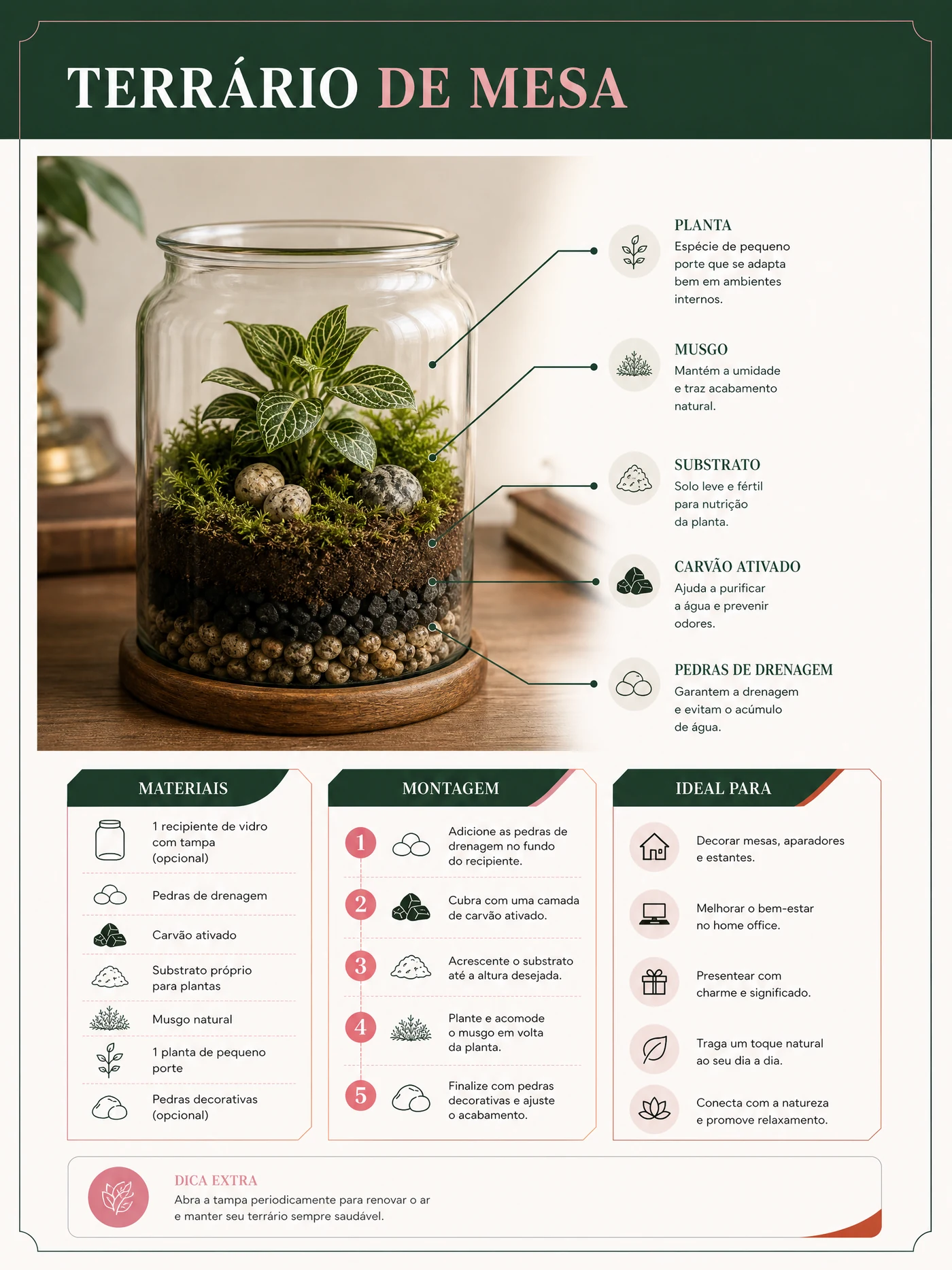 Página ilustrativa do terrário de mesa