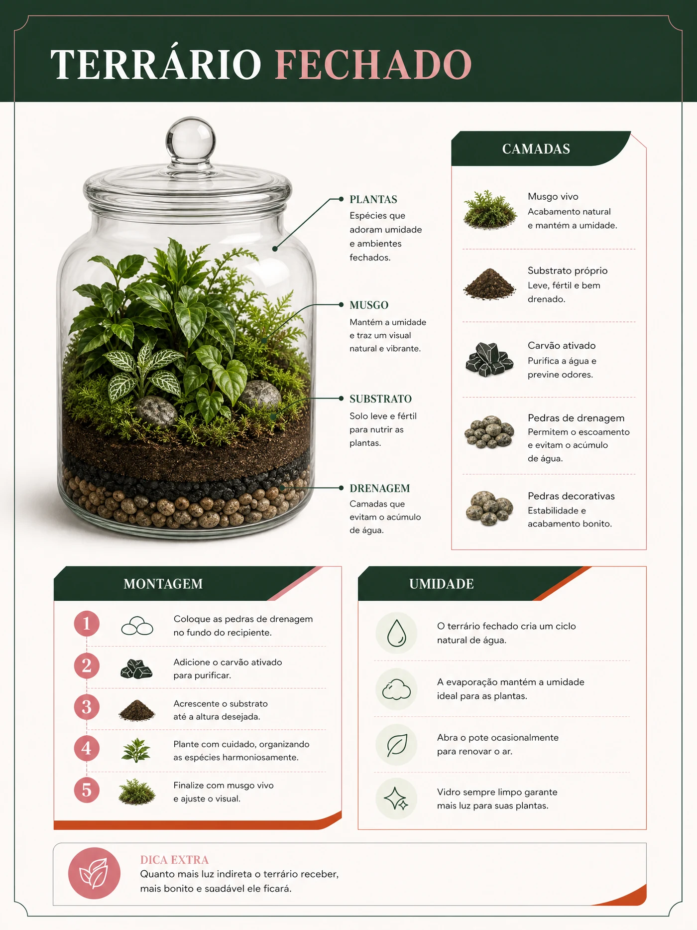 Página ilustrativa de terrário fechado