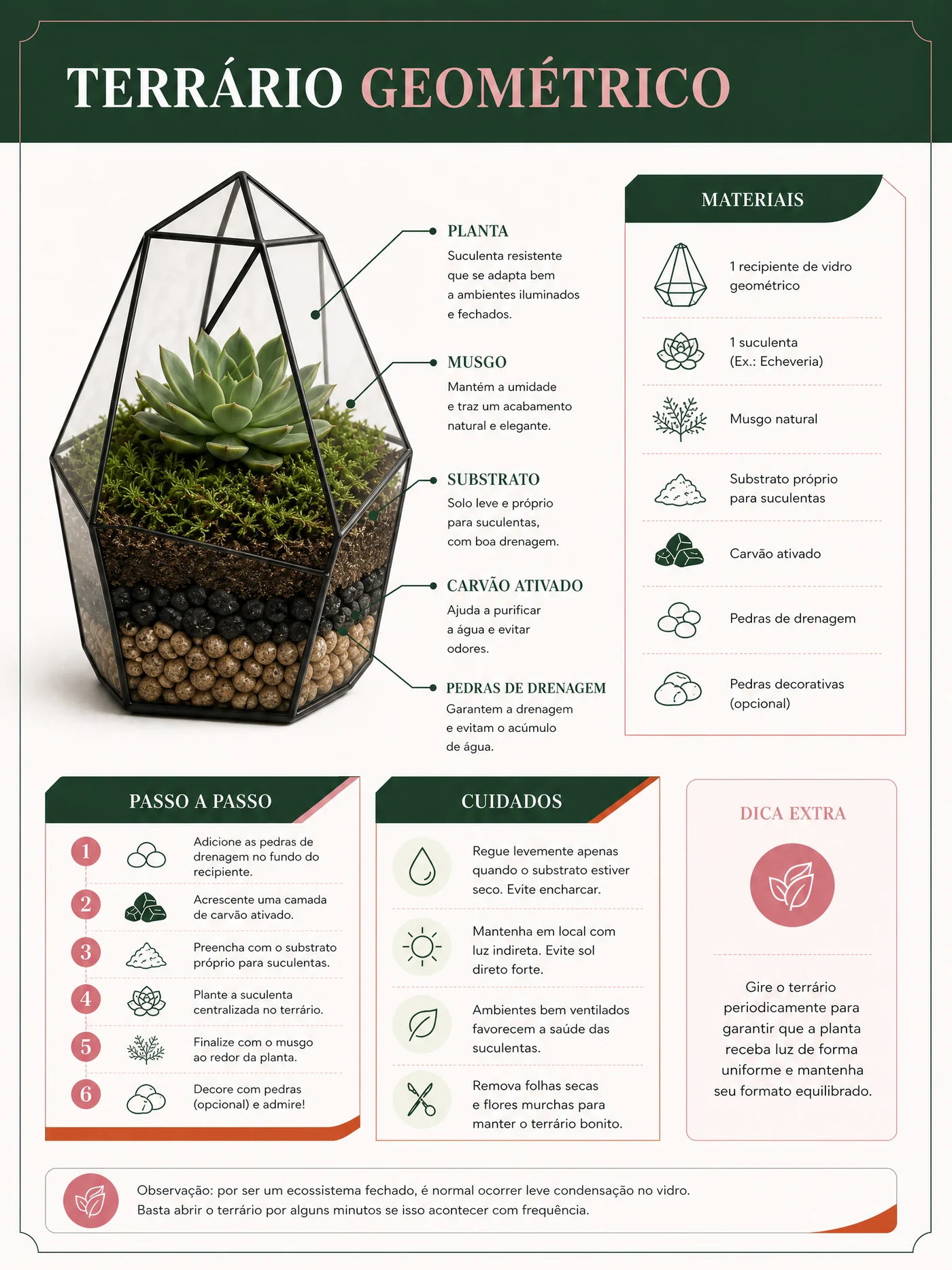 Página ilustrativa de terrário facetado